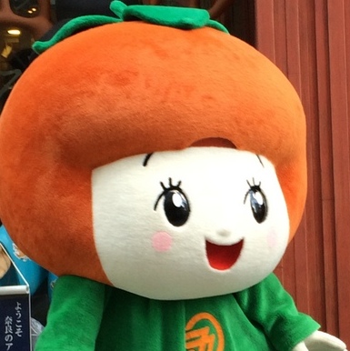 ネタ画像