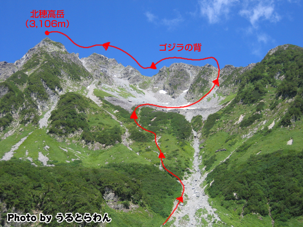 ネタ画像