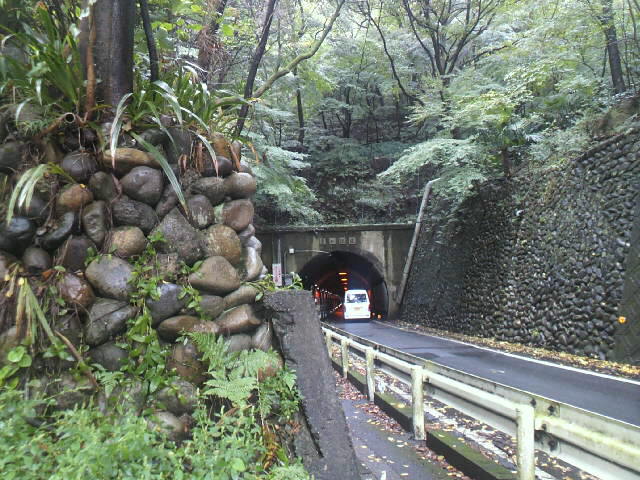 ネタ画像