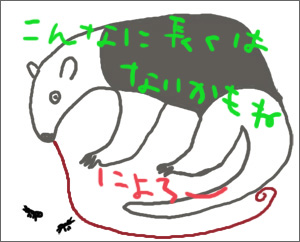 l^摜