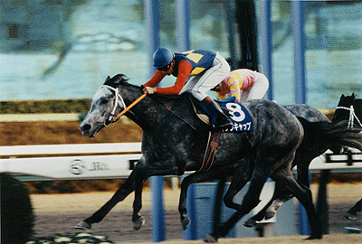 オグリキャップ 芦毛の怪物 感動のラストラン 伝説の名馬と名レース道場 スポーツ まにあ道 趣味と遊びを極めるサイト