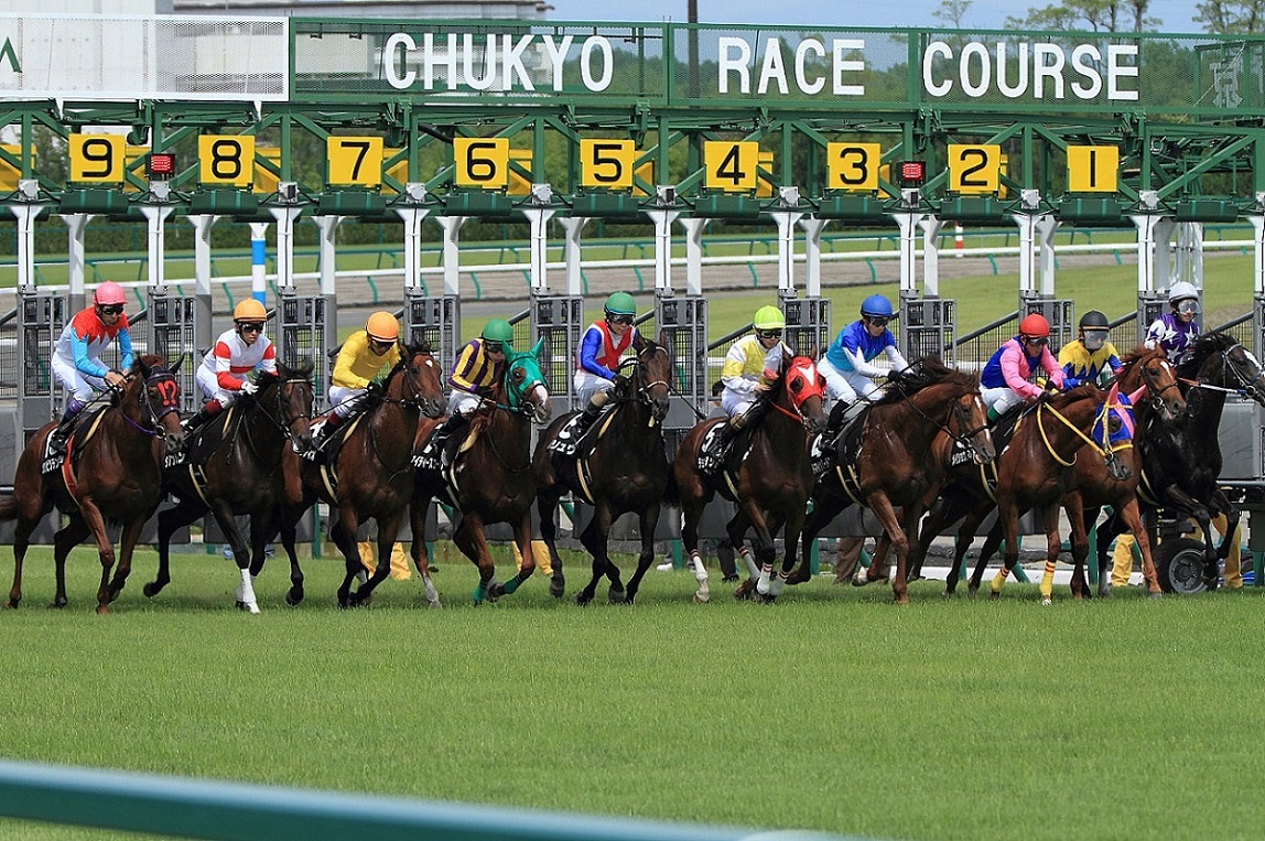 中京競馬場4