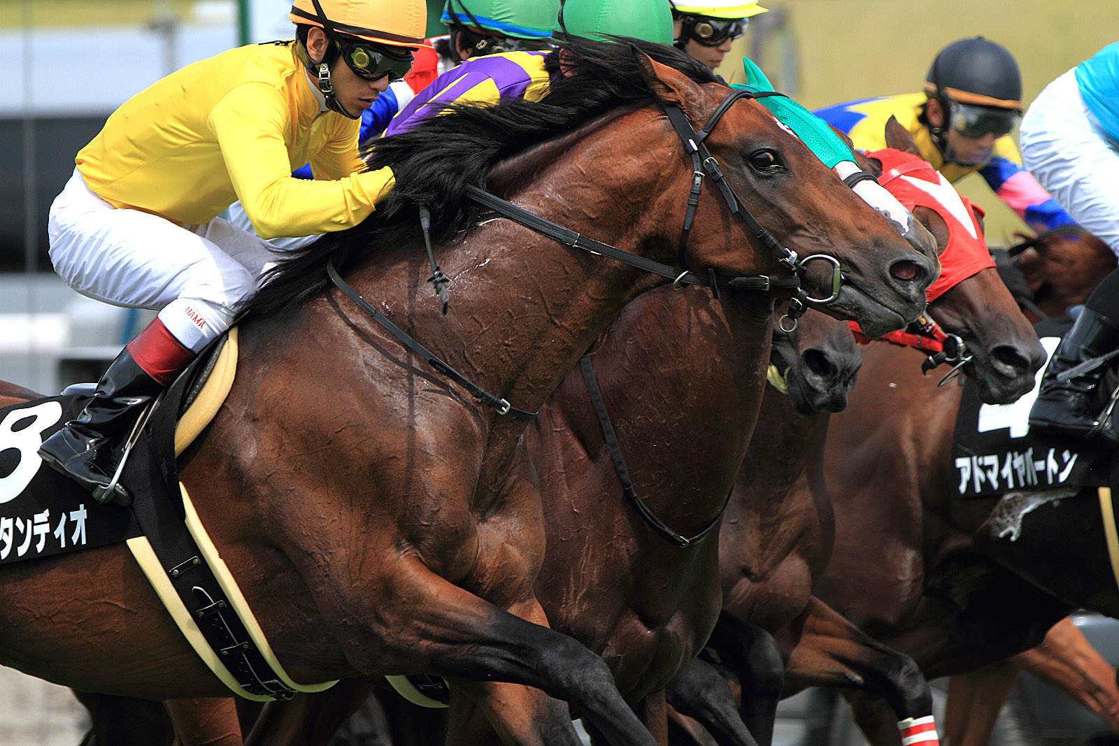 中京競馬場5