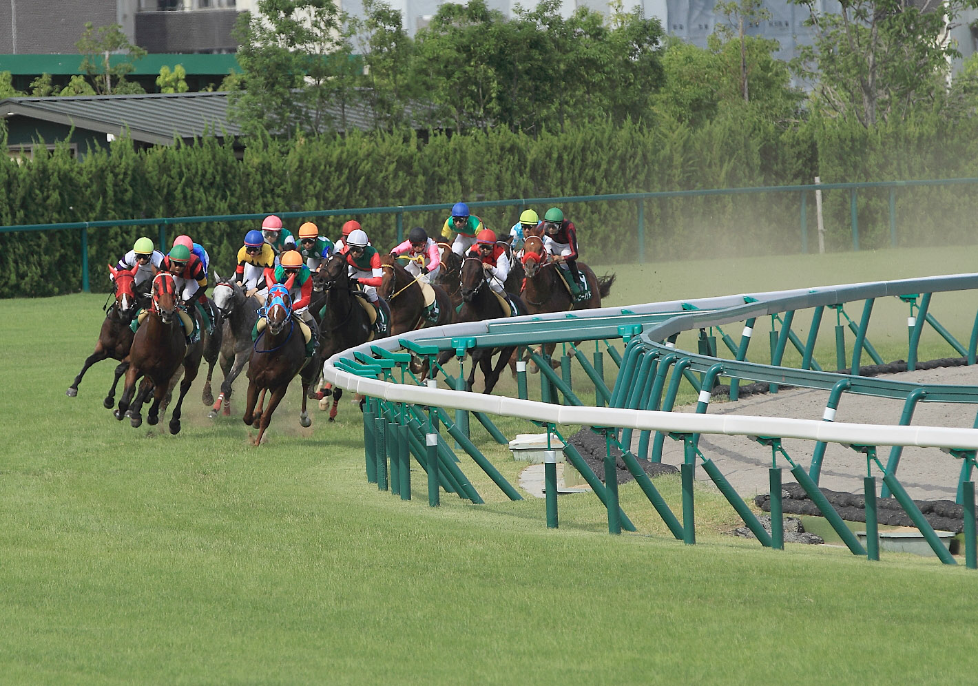  中京競馬場7
