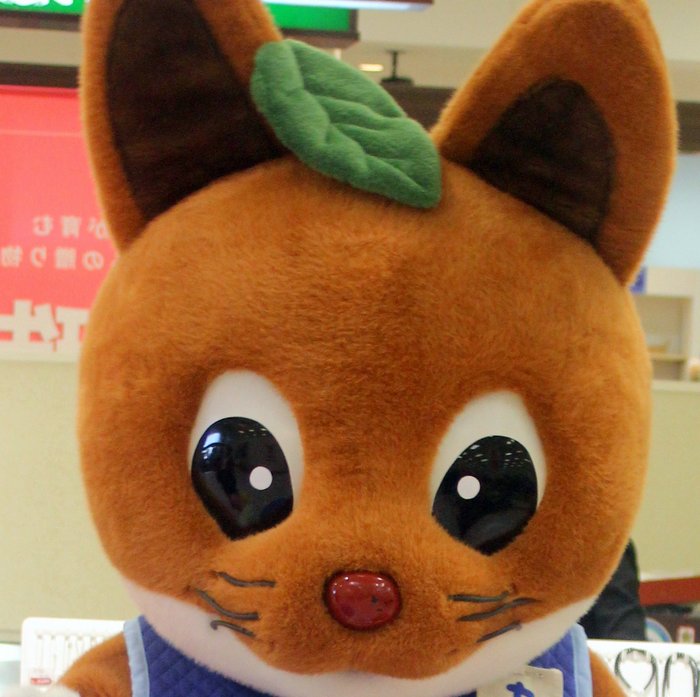 ちゃっくん（静岡県）