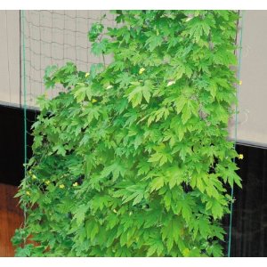 DAIM�T�C�h���[�v�t�΂̃J�[�e���l�b�g3.6_5m 10cm�p��