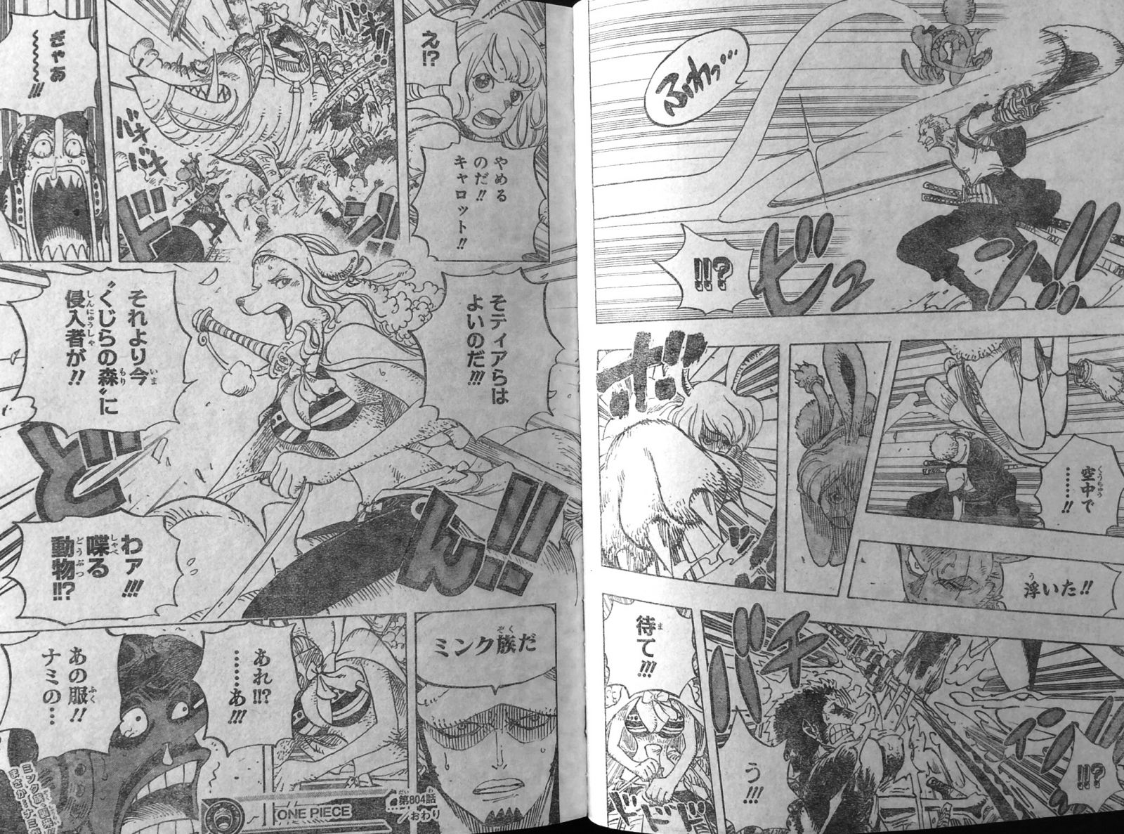 第804話 象の背の国の冒険 ミンク族キャロット 破壊され人がいないゾウの街 カイドウ関連か One Piece ワンピース 道場 アニメ 漫画 まにあ道 趣味と遊びを極めるサイト