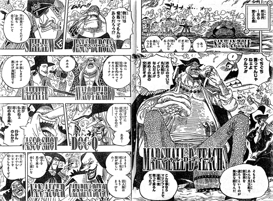 第595話 宣誓 ジュエリー ボニー 黒ひげに敗北 赤犬登場 モリア消えた チョッパー サンジ修行に One Piece ワンピース 道場 アニメ 漫画 まにあ道 趣味と遊びを極めるサイト