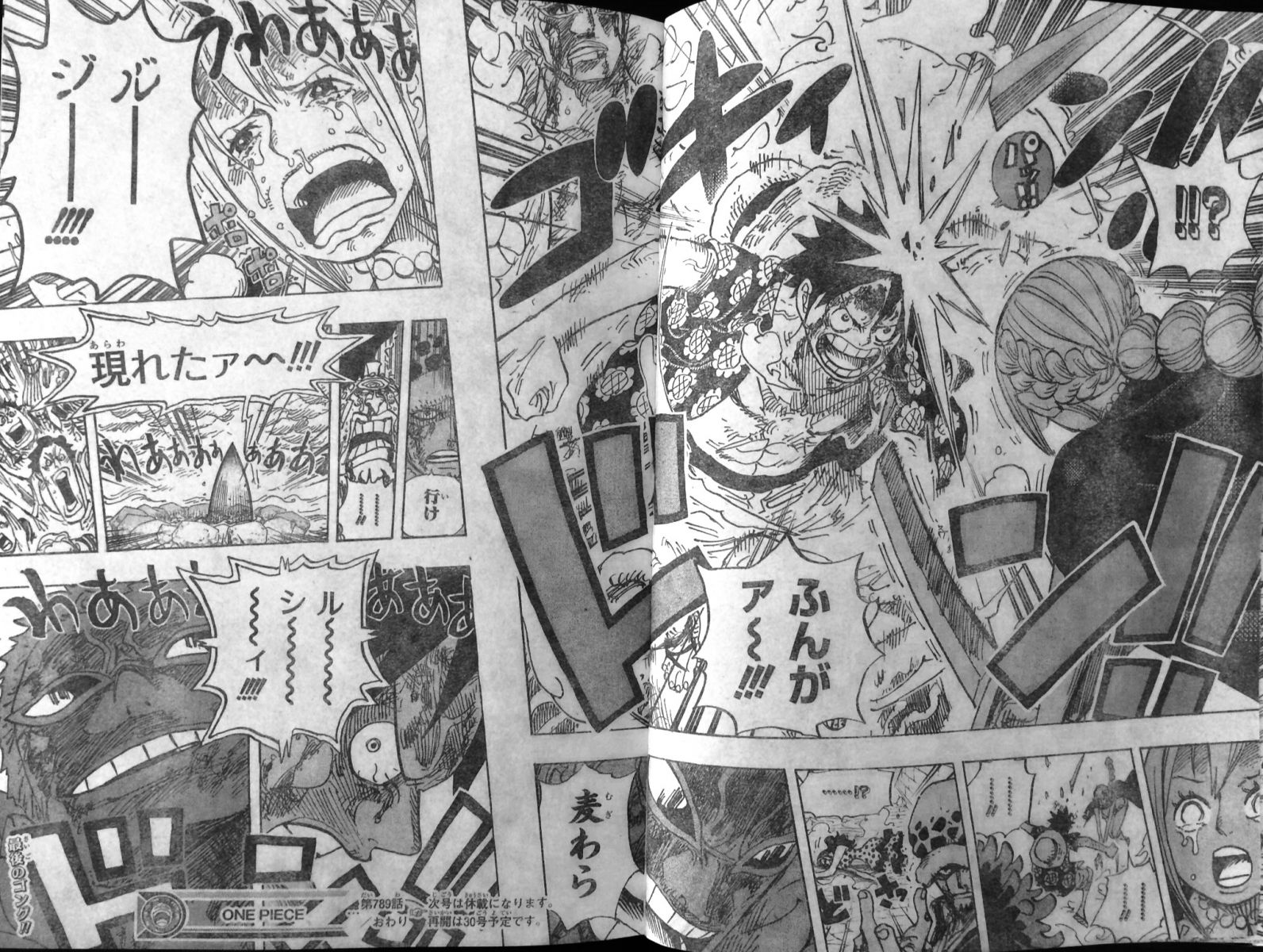 第789話 Lucy チユポポ効力切れ 操られるヴィオラとレベッカ ルフィ対ドフラミンゴ最後の戦い One Piece ワンピース 道場 アニメ 漫画 まにあ道 趣味と遊びを極めるサイト