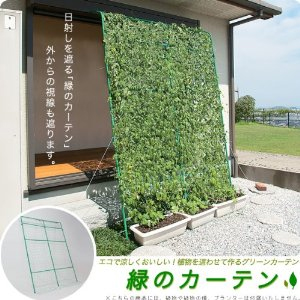 ��Ă��A�������˂����Ղ�G�R�ŗ������΂̃J�[�e��