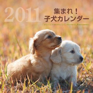 2011集まれ！子犬カレンダー