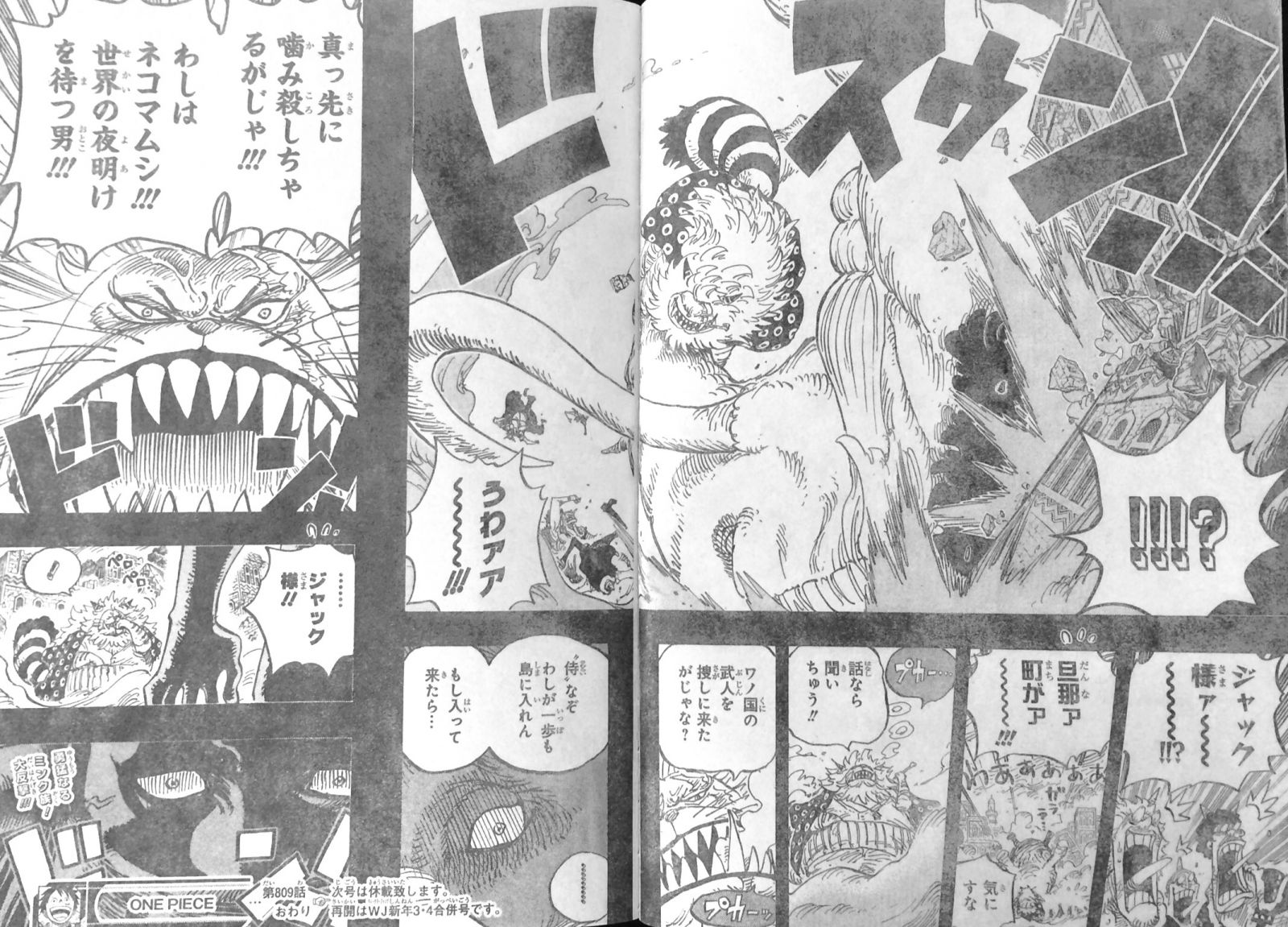 第809話 ネコマムシの旦那 ジャック部下黒い角スマイル能力者 ジャック懸賞金10億ベリー One Piece ワンピース 道場 アニメ 漫画 まにあ道 趣味と遊びを極めるサイト