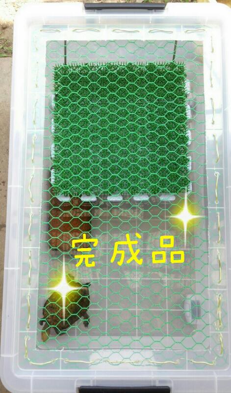 亀の飼育 衣装ケースで水槽 陸場を自作する方法 まゆみん解説 亀の飼育 大辞典道場 マニアーナ まにあ道 趣味と遊びを極めるサイト