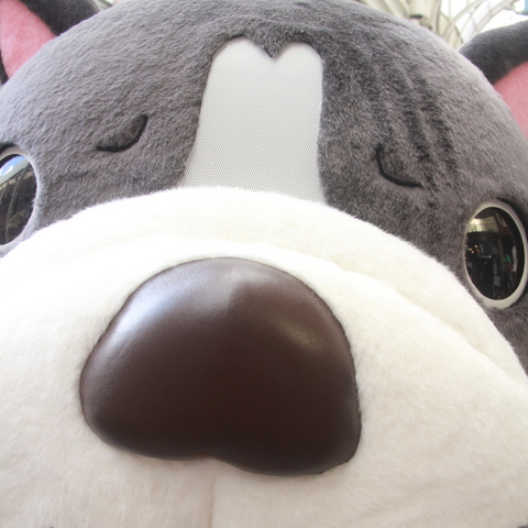 傧Ԃ