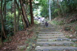 ネタ画像