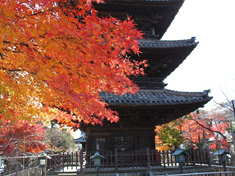ネタ画像