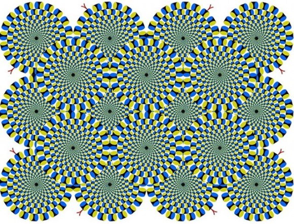 【実験】ネコに錯覚画像を見せたらどうなる？
