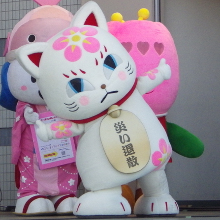 ǂoL炿