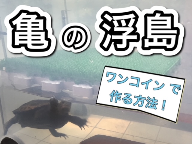 ネタ画像
