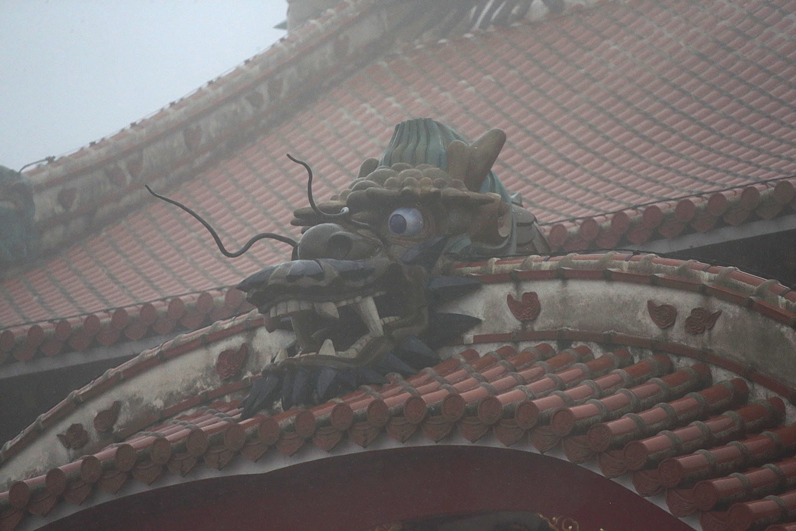  沖縄周遊旅行編　57