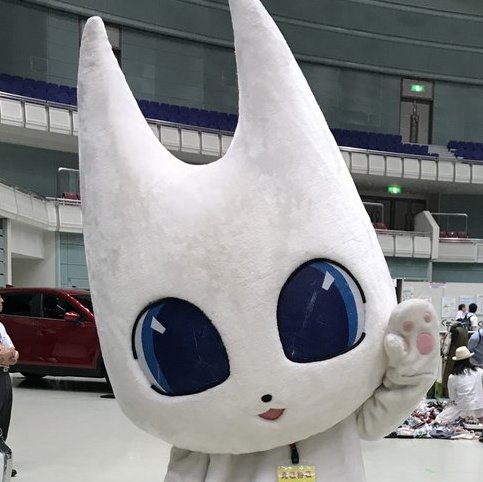 えこねこ