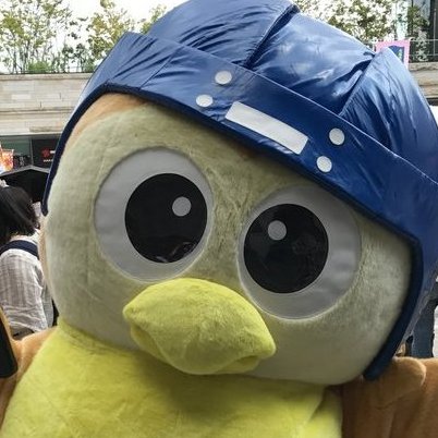 ネタ画像