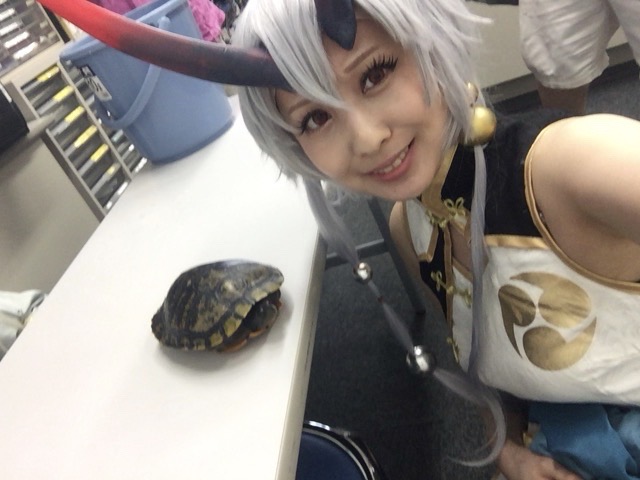 ネタ画像