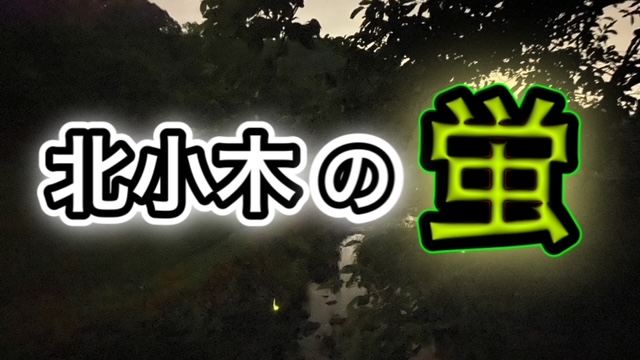 ネタ画像