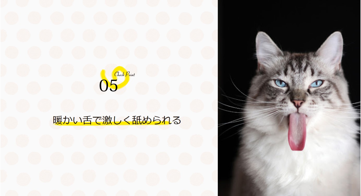 ネタ画像