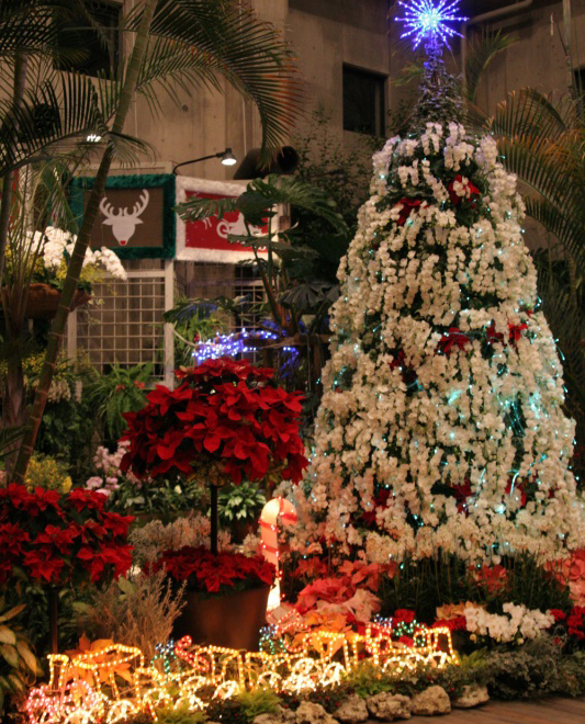 ̊ف@ăT^̃t@^WbNXmas