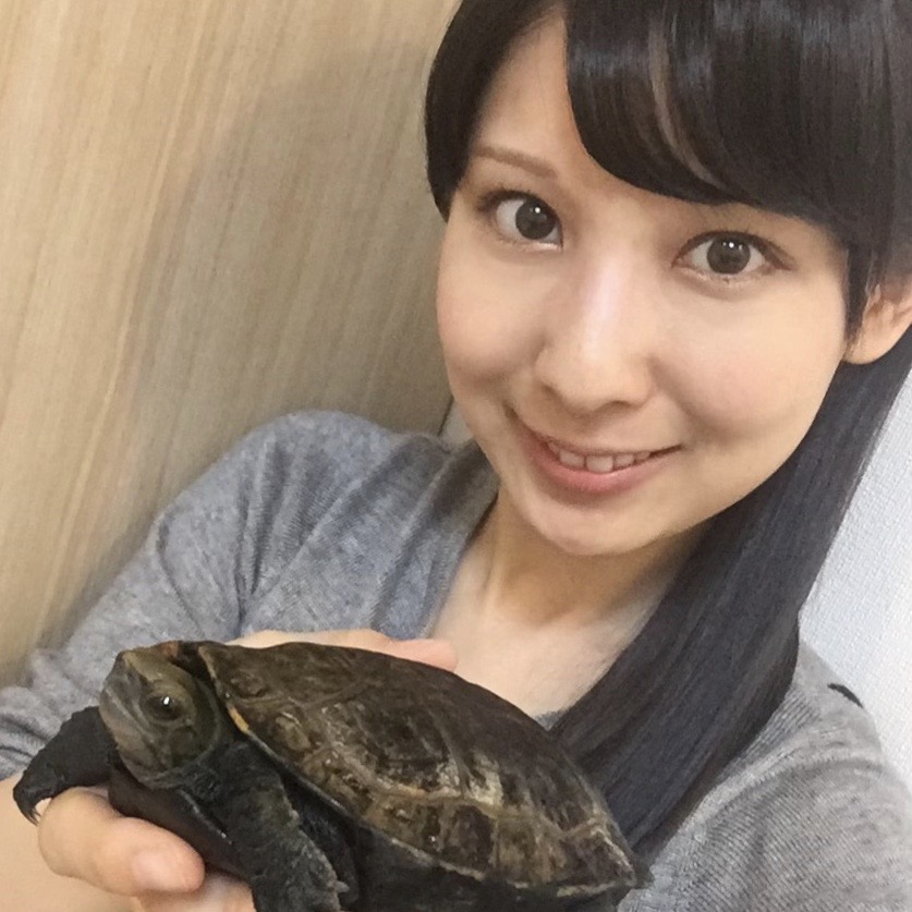 亀の飼育にかかる費用は 初期費用と年間かかる金額まとめ 年版 まゆみん解説 亀の飼育 大辞典道場 マニアーナ まにあ道 趣味と遊びを極めるサイト