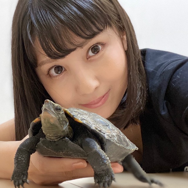 亀の餌 亀にあげてよい餌 食べ物 一覧 21年版 まゆみん解説 亀の飼育 大辞典道場 マニアーナ まにあ道 趣味と遊びを極めるサイト